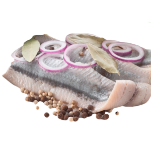  ���� ������ ��� 