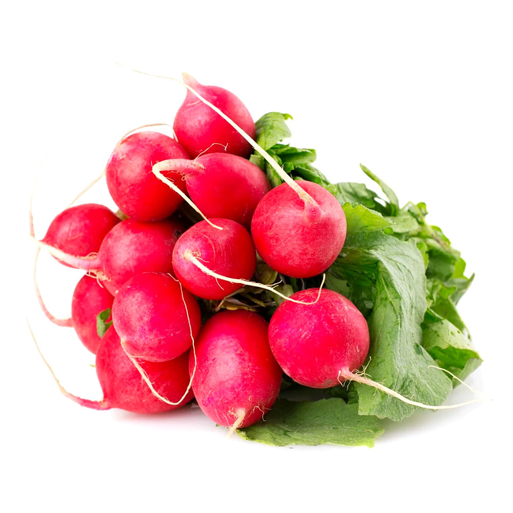  ����� ���. 