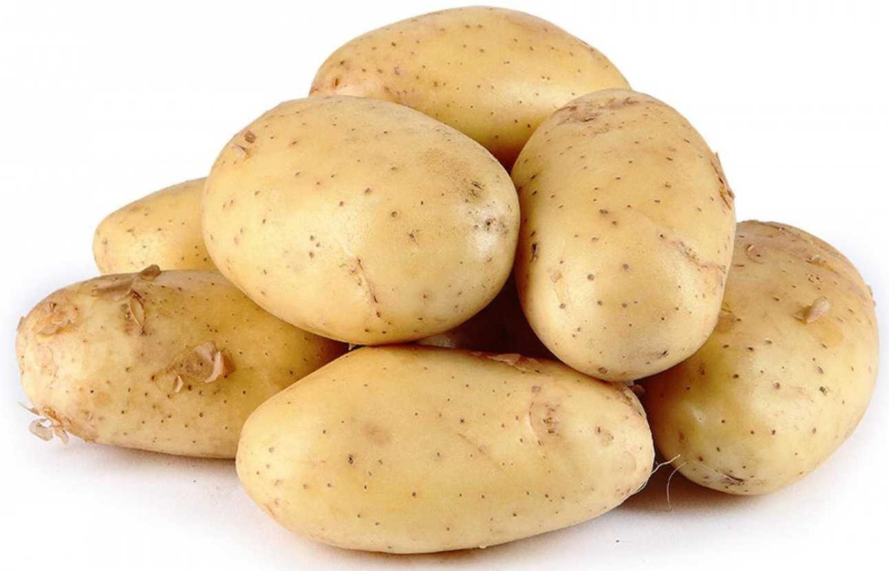  ��������� ������ 