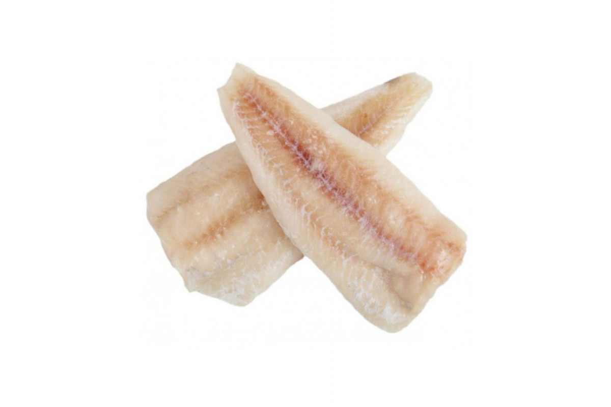  ���� ������ ���. 