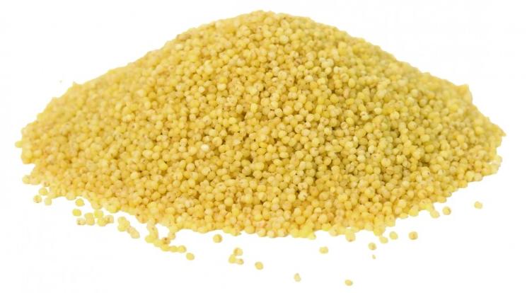  ����� ����� ���. 