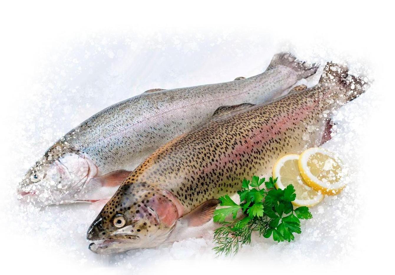  ������ ��� 