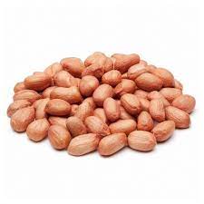  ������ ��������� 