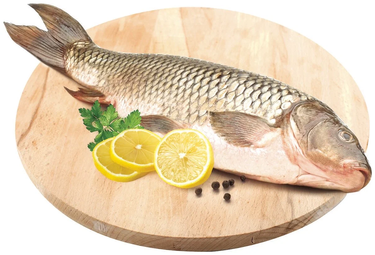  ���� ����� ��� 