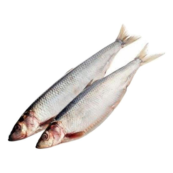  ���� ������ 300+ 