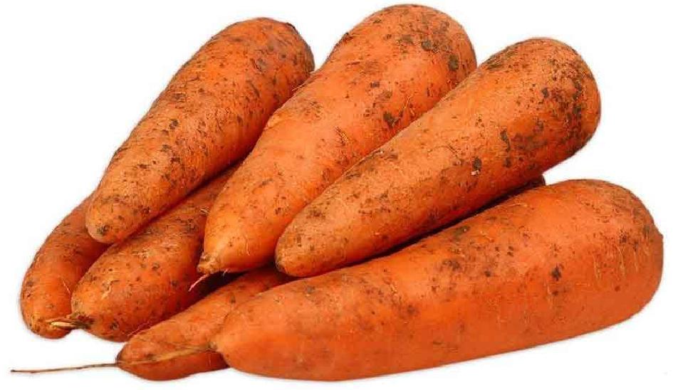  ������� �������� 