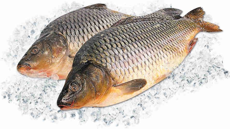  ���� ���� ��� 