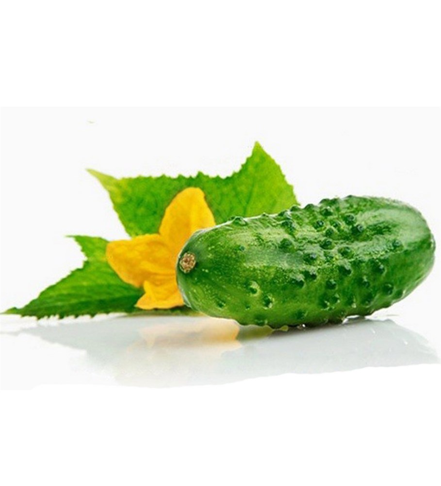  ������ ����� 