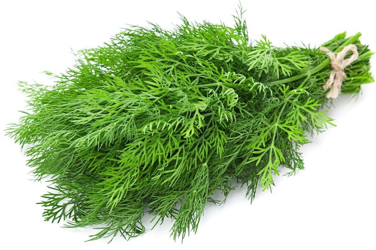  ����� ���. 