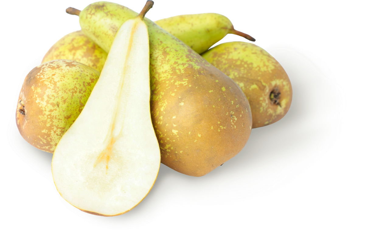  ����� ����������� 