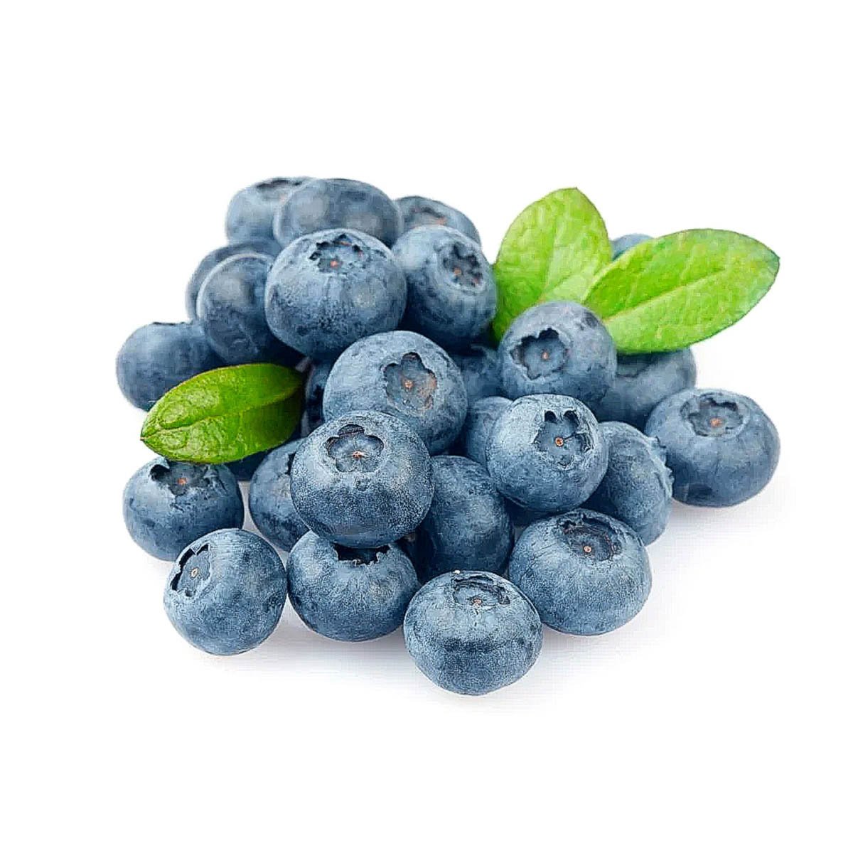  �������� ���																														 