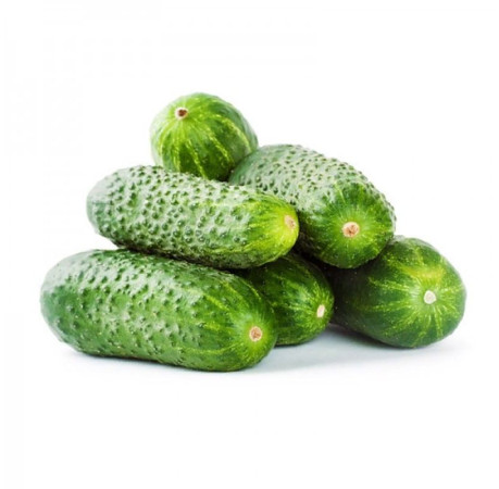  ������ ��������� ����� 