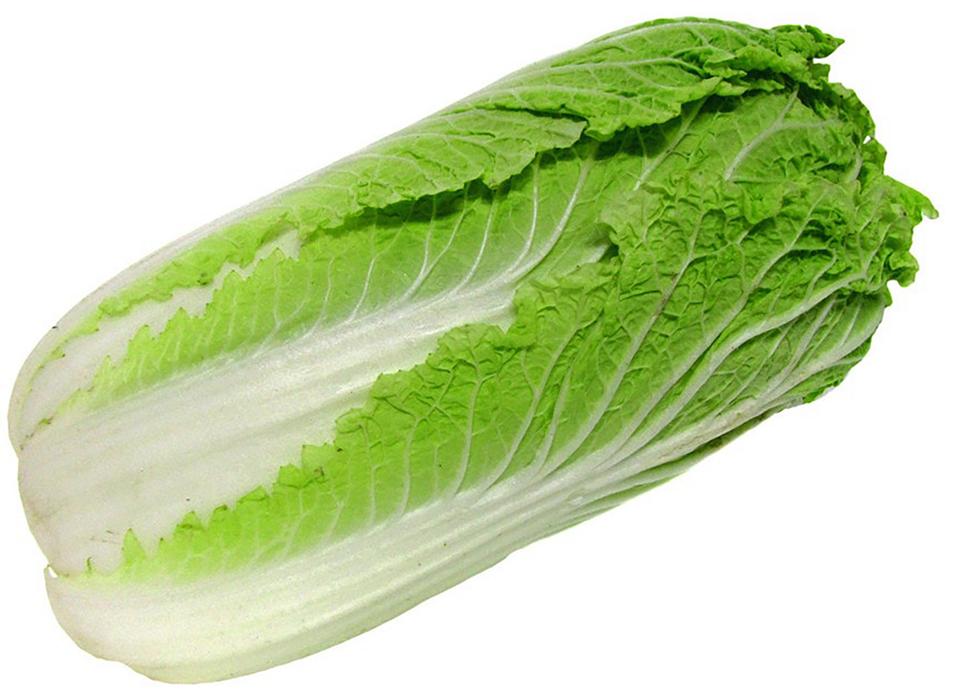  ����� ���������  