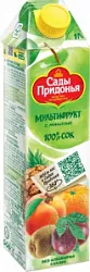 Сок Сады Придонья Мультифруктовый вост.неосвет.1,0л ОАО Сады придонья