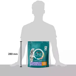 Корм сухой для кошек Purina One для красивой шерсти курица, цельные злаки 750г